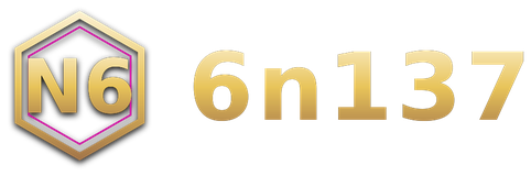 6n137 logo